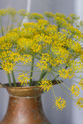 Similar image 2924050