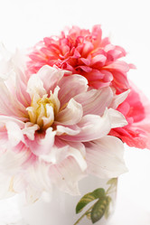 Similar image 2924055