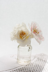 Similar image 2924060