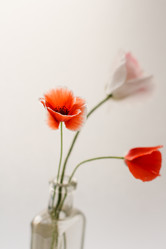 Similar image 2924063