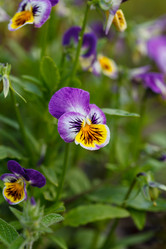 Similar image 2924074