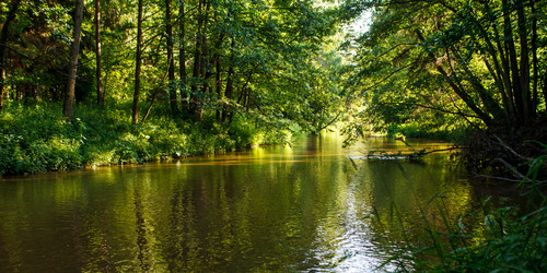 Similar image 2924077