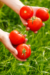 Similar image 2924084