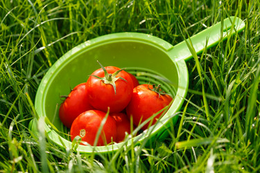 Similar image 2924085