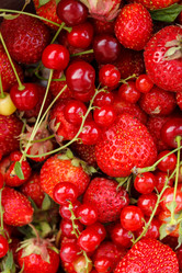 Similar image 2924090