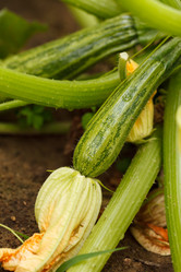 Similar image 2924092