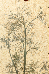 Similar image 2924103