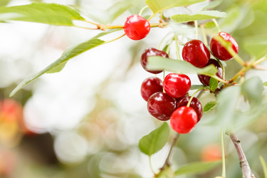 Similar image 2924104