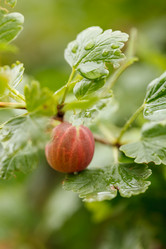 Similar image 2924106