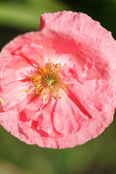 Similar image 2924109