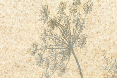 Similar image 2924111