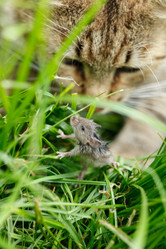 Similar image 2924119