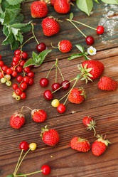 Similar image 2924131