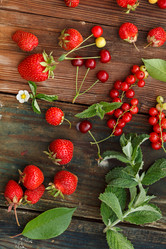 Similar image 2924133