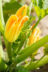 Similar image 2924144