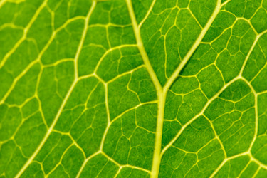 Similar image 2924147