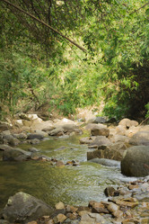 Similar image 2924162