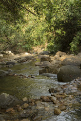 Similar image 2924163