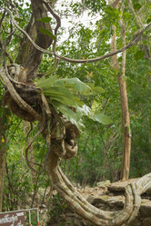 Similar image 2924190