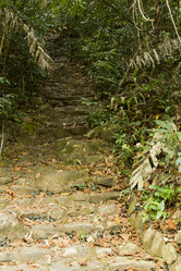 Similar image 2924191