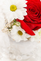 Similar image 2924232