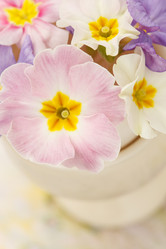 Similar image 2924236