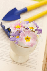 Similar image 2924237