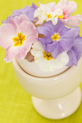 Similar image 2924245