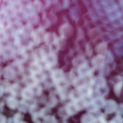 Similar image 2924246