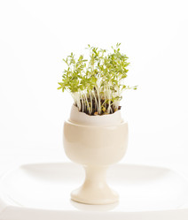 Similar image 2924309