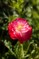 Similar image 2924313