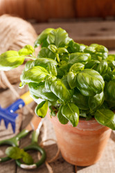 Similar image 2924323