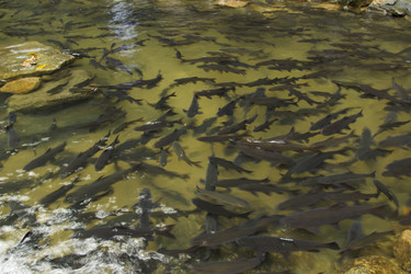 Similar image 2924340