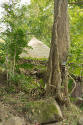 Similar image 2924343