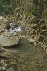 Similar image 2924347