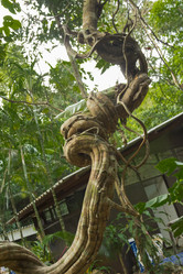 Similar image 2924353