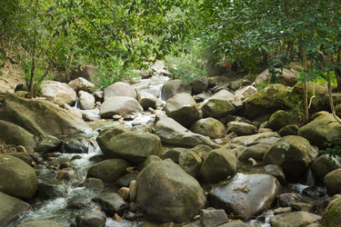 Similar image 2924355