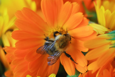 Similar image 2924361