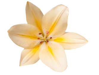 Similar image 2924376