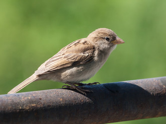 Similar image 2924378