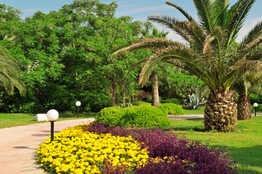 Similar image 2924386