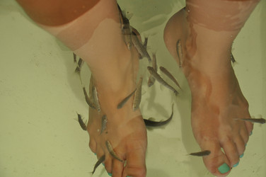 Similar image 2924400