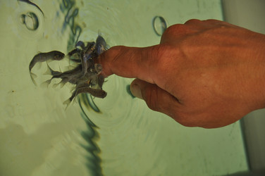 Similar image 2924401