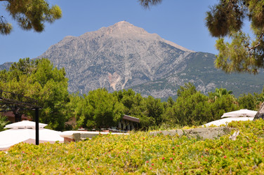 Similar image 2924403