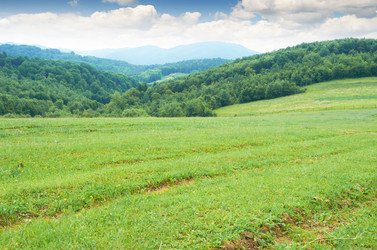 Similar image 2924408