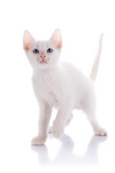 Similar image 2924466