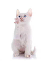 Similar image 2924467