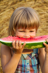 Similar image 2924472