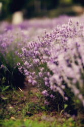 Similar image 2924508