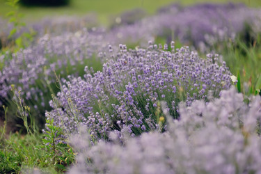 Similar image 2924509